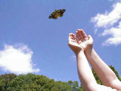 detachment - letting go of a butterfly